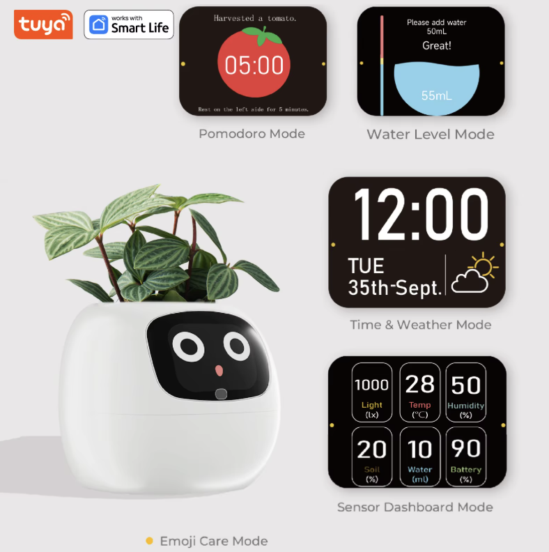 Pet buddy lvy cuidado de las plantas